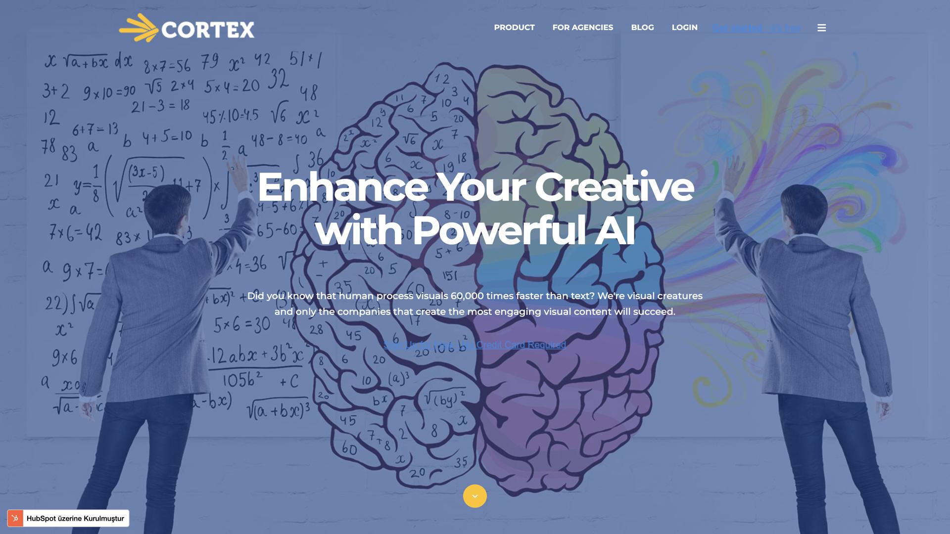 Cortex