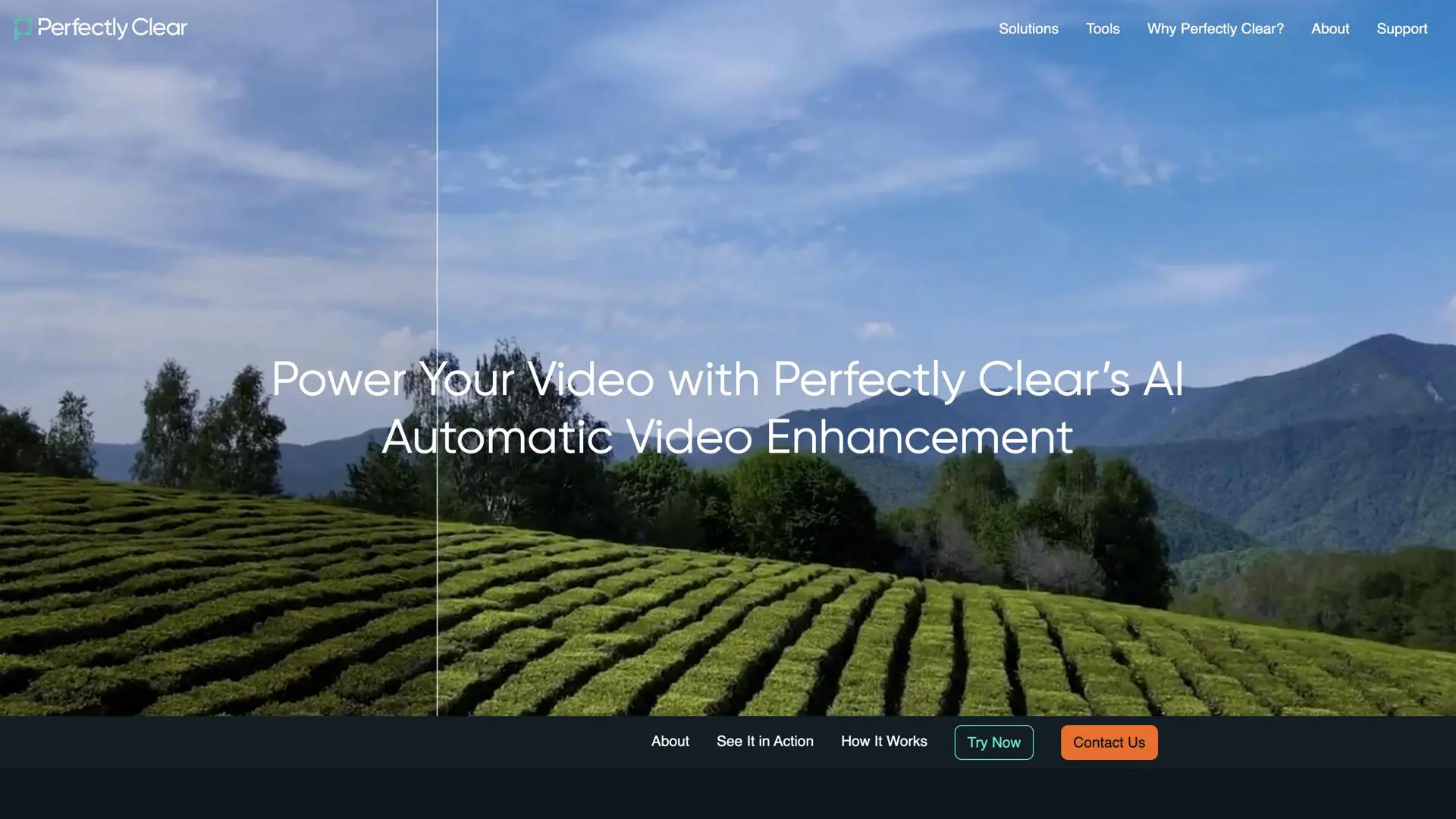 Perfectly Clear Video